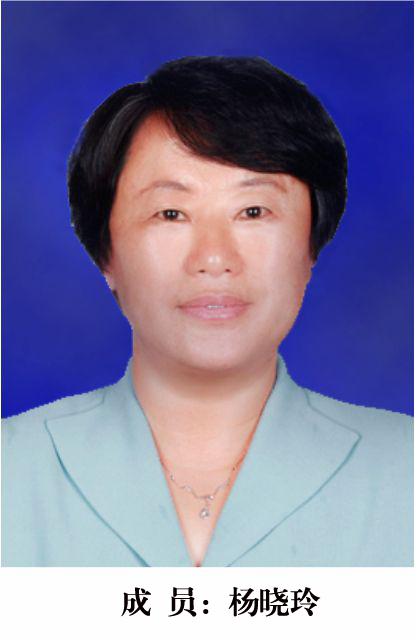 杨晓玲 副院长